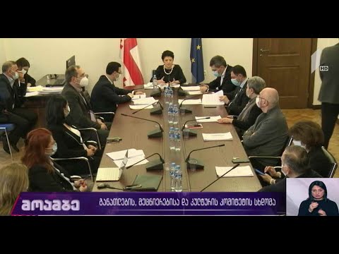 განათლების, მეცნიერებისა და კულტურის კომიტეტის სხდომა